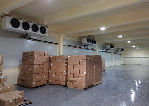  建造設(shè)計200立方疫苗低溫冷藏庫?費用造價是多少？