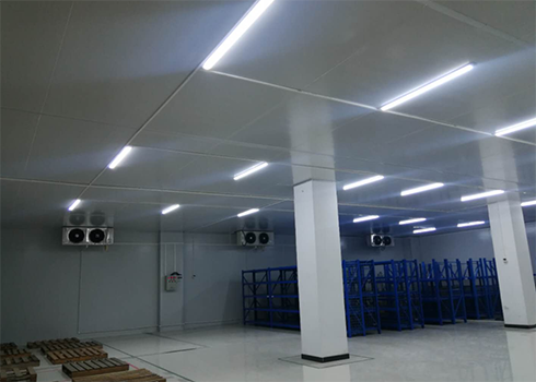  藥品陰涼庫建造?有哪些特點(diǎn)？