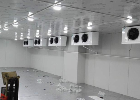  定制建造600m3生物制品低溫倉(cāng)庫設(shè)備費(fèi)用是多少？