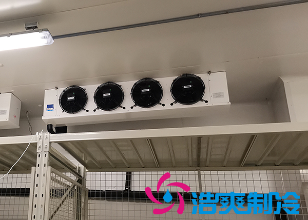 建造-30~-80℃超低溫血漿蛋白冷凍庫需要花費多少價格？
