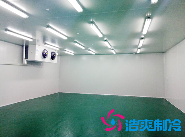  藥品冷庫安裝方案及設(shè)計標準