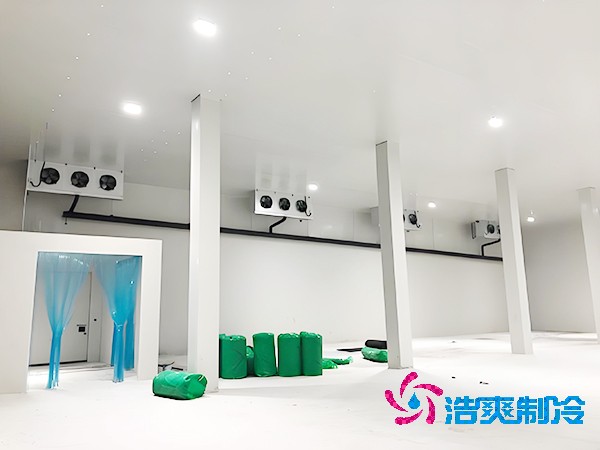 醫(yī)藥冷凍庫的安裝特性有哪些？