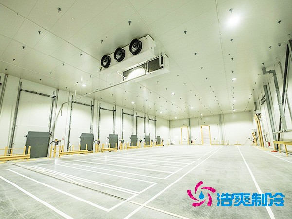 2025年全國醫(yī)藥冷庫造價(jià)解析與投資指南！
