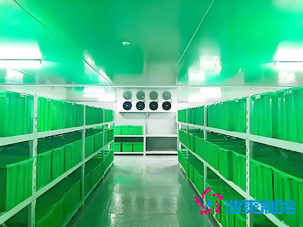  三級醫(yī)院建設醫(yī)用耗材冷庫面積標準