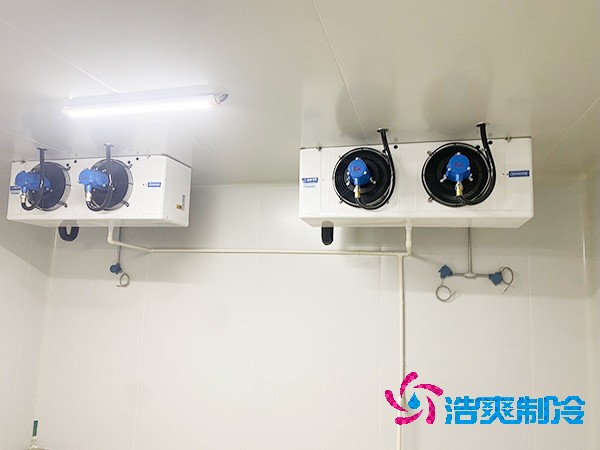 上海建設(shè)醫(yī)藥冷庫造價費用大概多少錢？