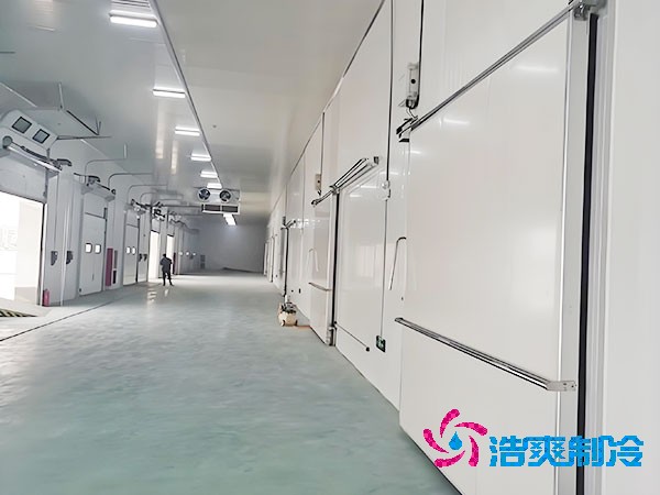  800立方醫(yī)藥冷庫造價大概多少錢？