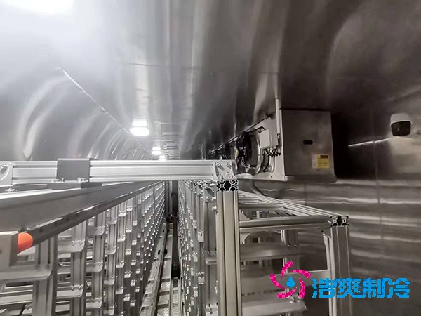 藥品全自動(dòng)冷鏈物流智能冷庫(kù)