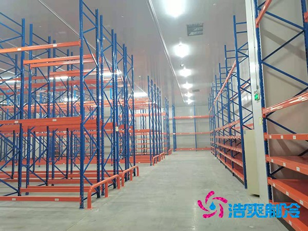  大中型藥品冷庫設(shè)計的關(guān)鍵要求與規(guī)范