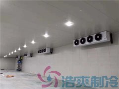  建設(shè)一間醫(yī)藥疫苗冷庫價(jià)格費(fèi)用？